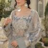 Luxe Trout Grey Net Gown