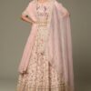Baby Pink Embroidered Lehenga Choli
