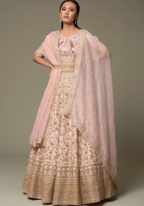 Baby Pink Embroidered Lehenga Choli