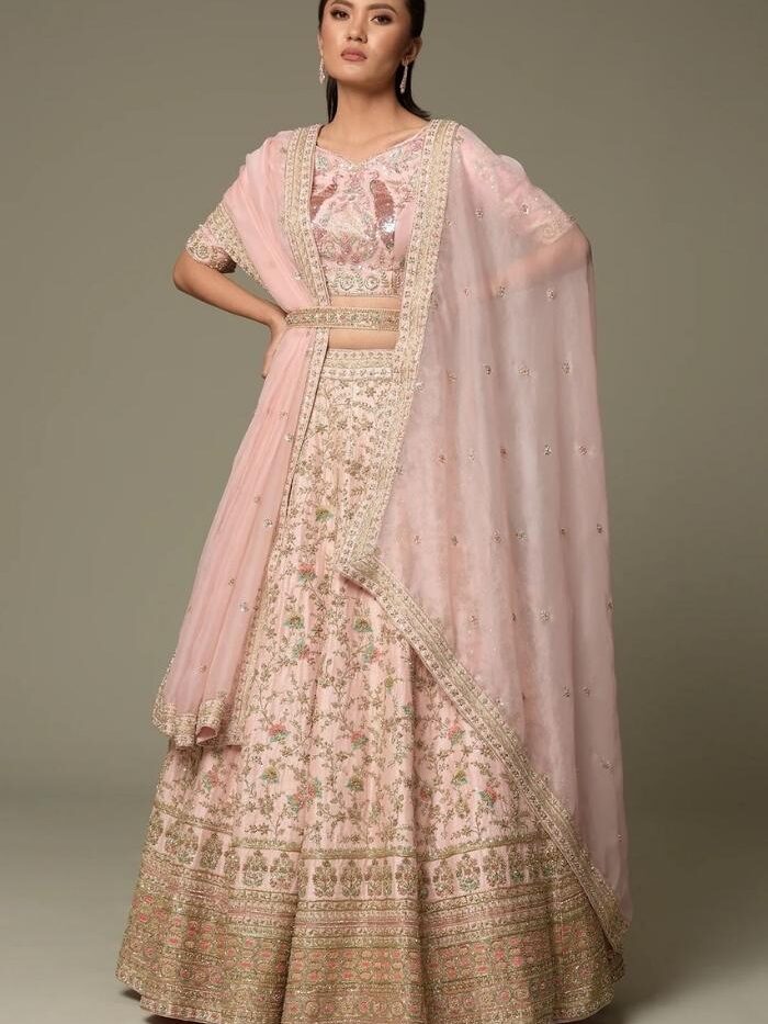 Baby Pink Embroidered Lehenga Choli