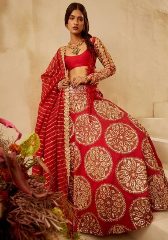 Red Lehenga Choli With Golden Thread Embroidery