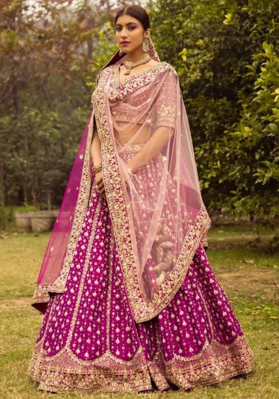 Rosy Radiance Embroidered Lehenga Choli